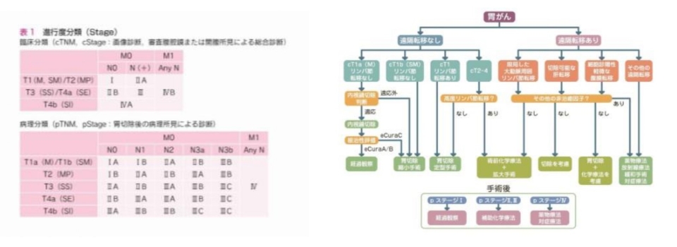  日本胃癌学会編「胃癌治療ガイドライン2014年第4版」（金原出版）より 