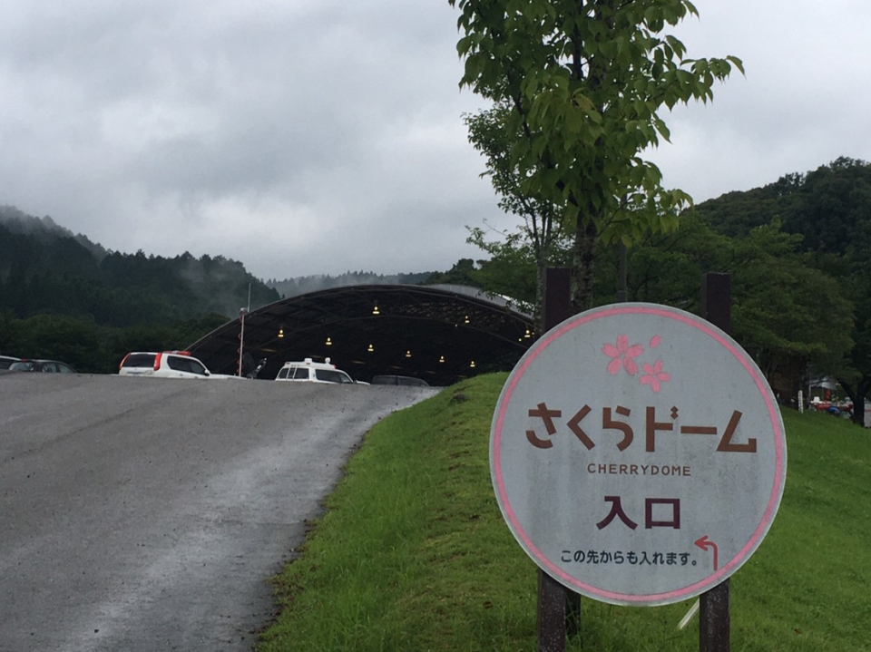 令和2年7月豪雨災害　写真