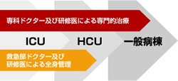 救命救急センター入院患者の図