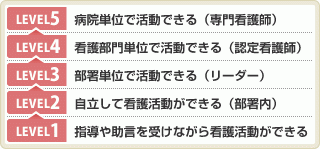 看護教育レベルの図 看護教育レベルの図